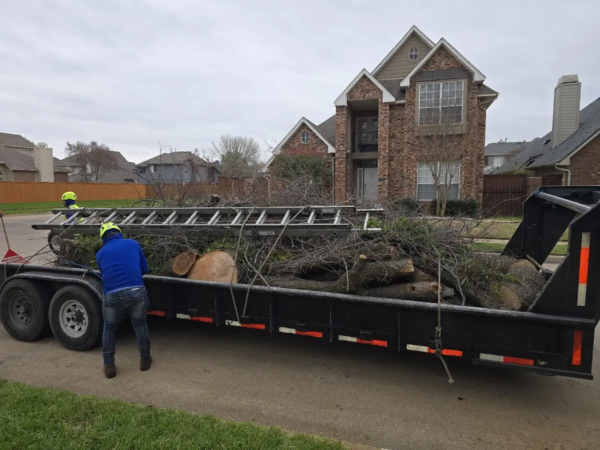 Expert Tree Fertilization with proper safety equipment in Cascade